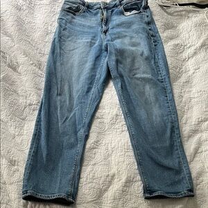 American Eagle Outfitters Blue Straight Leg Jeans
